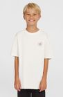 O'neill Gradient T-shirt