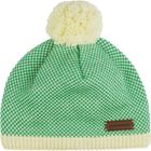 Snow Beanie