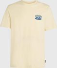 O'neill Beach Graphic T-shirt
