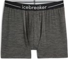 Men Merino 150 Anatomica Boxers