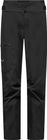 Ortles GTX 3L EPE Pants W