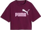 Essentials 2 Color No 1 Logo Short Length Tee G