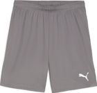 Teamgoal Shorts