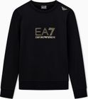 Train Evolution W T-top CN - Sweatshirt