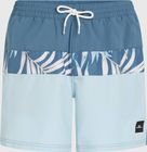 O'neill Cali Block 15'' Swimshorts