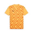 Teamglory Jersey