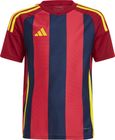 Striped 24 Jersey Kids