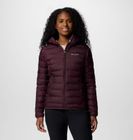 Lake 22 II Down Hooded Jacket