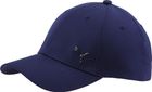Puma Metal Cat Cap