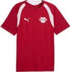 Fcsp Shorts Replica Jr