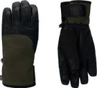 Type Ski Gloves R-shell DRY