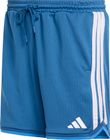 Stadium Mesh Shorts Men