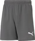 Teamrise Short
