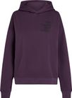 Future Surf Society Hoodie