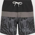 O'neill Cali Block 15'' Swimshorts