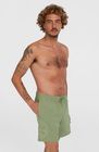 O'riginals Cali Ocean 16'' Swimshorts