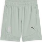 ACM Training Shorts