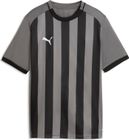 teamLIGA26 Striped Jersey Jr