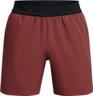 Vanish Elite Short