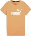 Essentials Logo Tee (s)