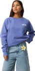 Surf Puff Raglan Relaxed Crew