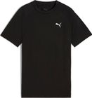 Evostripe Tee B