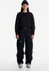 Apex Mtn-x 3L Pant Women’s