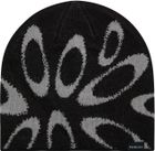 Ellipse Graphic Beanie