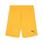 Teamgoal Shorts Jr
