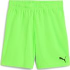Teamgoal Shorts