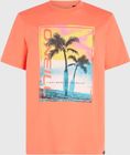 Jack O'neill Neon T-shirt