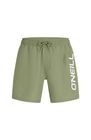 O'neill Logo 16'' Swimshorts