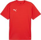 Teamgoal Jersey