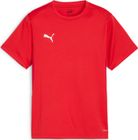 Teamgoal Jersey Jr