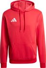 Entrada26 Hoodie