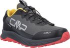 Phelyx WP Multisport Shoes