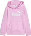 Essentials No 1 Logo Hoodie FL PS