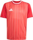 Entrada26 Graphic Jersey Kids