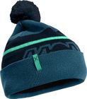 POP Beanie