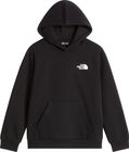 Teen Evolution Box NSE Pullover Hoodie