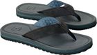 Chiba Open TOE