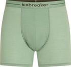 Men Merino 150 Anatomica Boxers