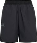 Terrex Kids Multi CLIMA365 Shorts