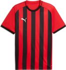 teamLIGA26 Striped Jersey