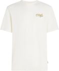 O'neill Graphic Logo T-shirt