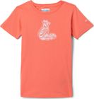 Mission Lake Short Sleeve Graphic Shirt