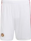 Hungary 26 Home Shorts Men