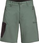 Active Track Shorts M