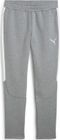 Teamevostripe Pants