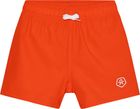 Swim Shorts Solid 720395